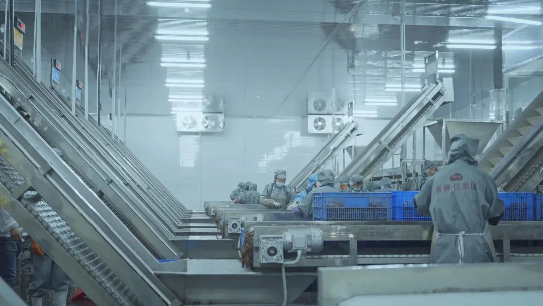 3 bti体育·(中国)官方网站 - APP下载